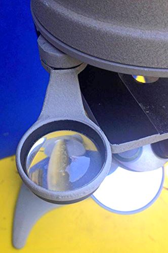 RARE BAUSCH & LOMB PROJECTION 42-63-59 INVERTED MICROSCOPE & ST