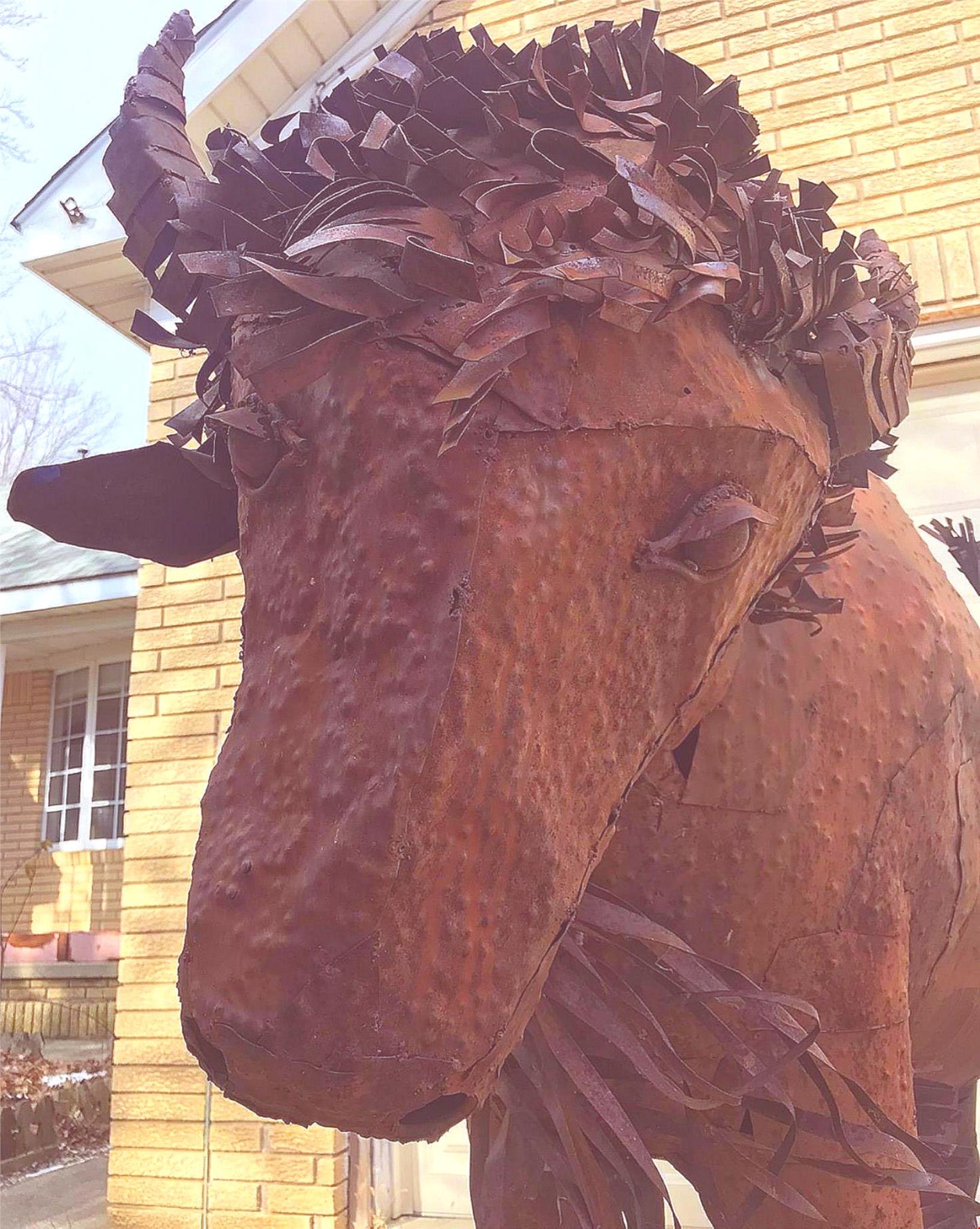 UNIVERSITY COLORADO RALPHIE? HUGE BISON METAL SCULPTURE 61" x 73" x 21" FREESHIP