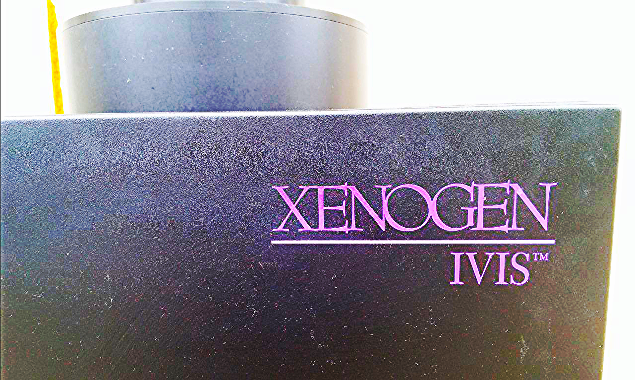 XENOGEN IVIS ROPER SCIENTIFIC VERSARRAY A01H3004 IMAGE X-RAY