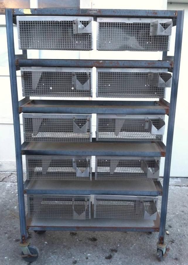 WAHMANN ACME STAINLESS STEEL 10 ANIMAL CAGE CAGES RACK on WHEELS LAB 24 x 24each