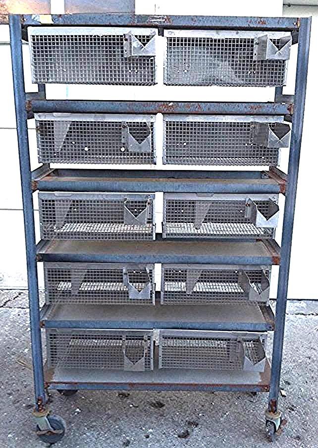 WAHMANN ACME STAINLESS 10 ANIMAL BIRD GAME CAGE HUNT RACK VETERINARY LAB 17x10x7
