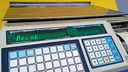 DIGITAL BALANCE FREE SHIP