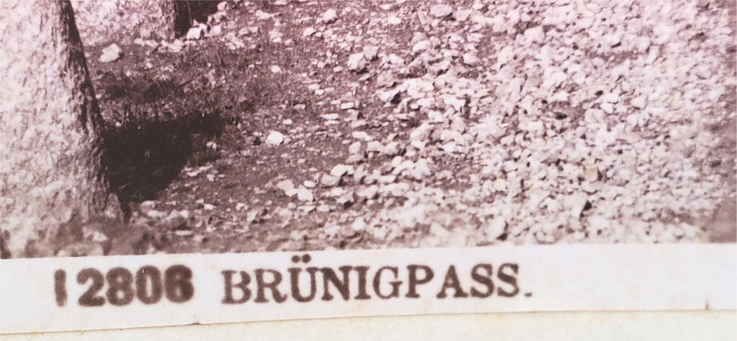 RARE 1888 ORIGINAL PHOTOGRAPH of BRUNIG PASS LUCERNE by G SOMMER 10"x8" FREESHIP