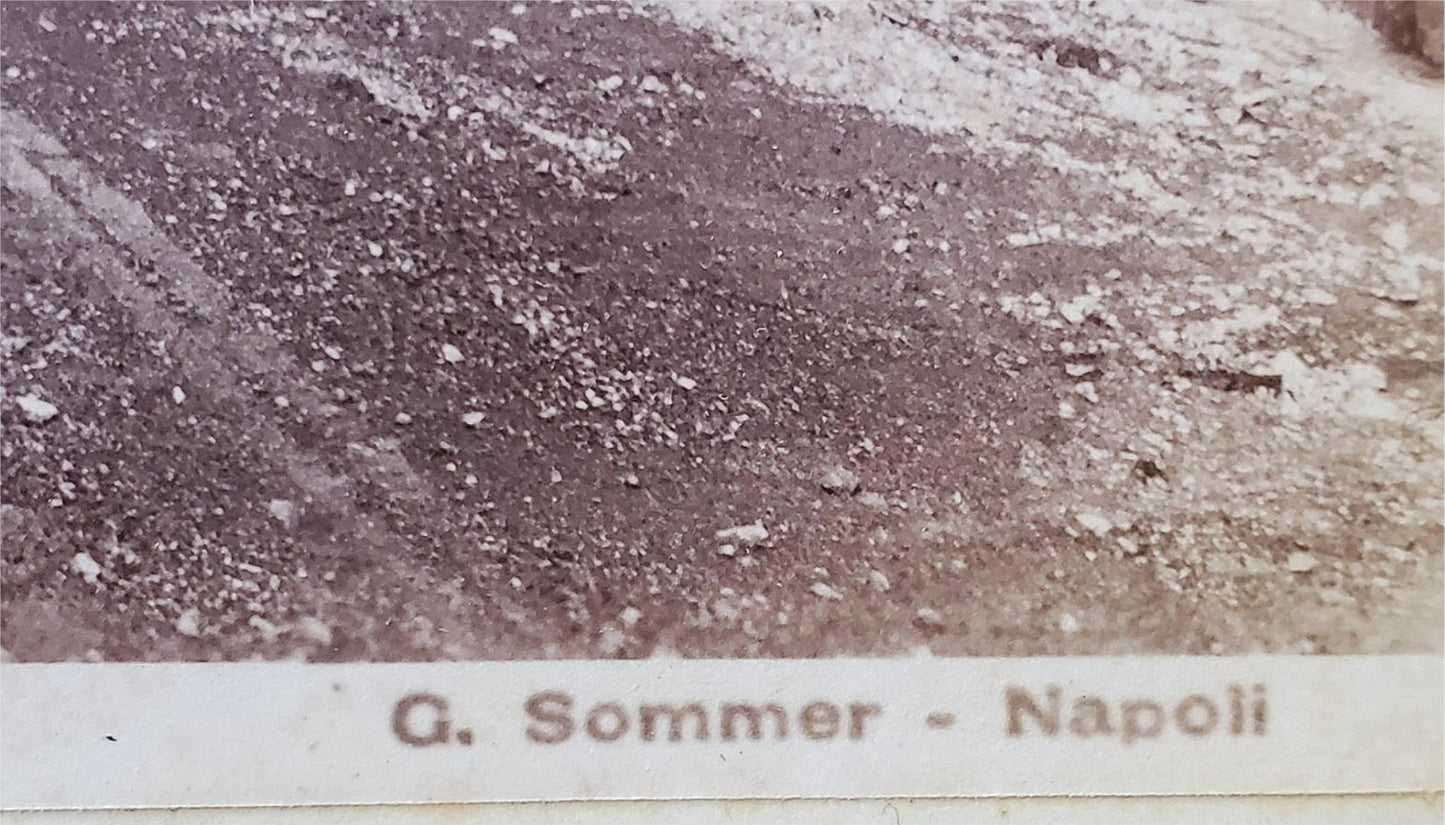 RARE 1888 ORIGINAL PHOTOGRAPH of BRUNIG PASS LUCERNE by G SOMMER 10"x8" FREESHIP