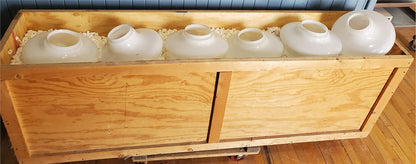 BIG 10 ART DECO 100Year MID CENTURY CLASSIC MILK LAMP GLOBE DETROIT OBSERVATORY