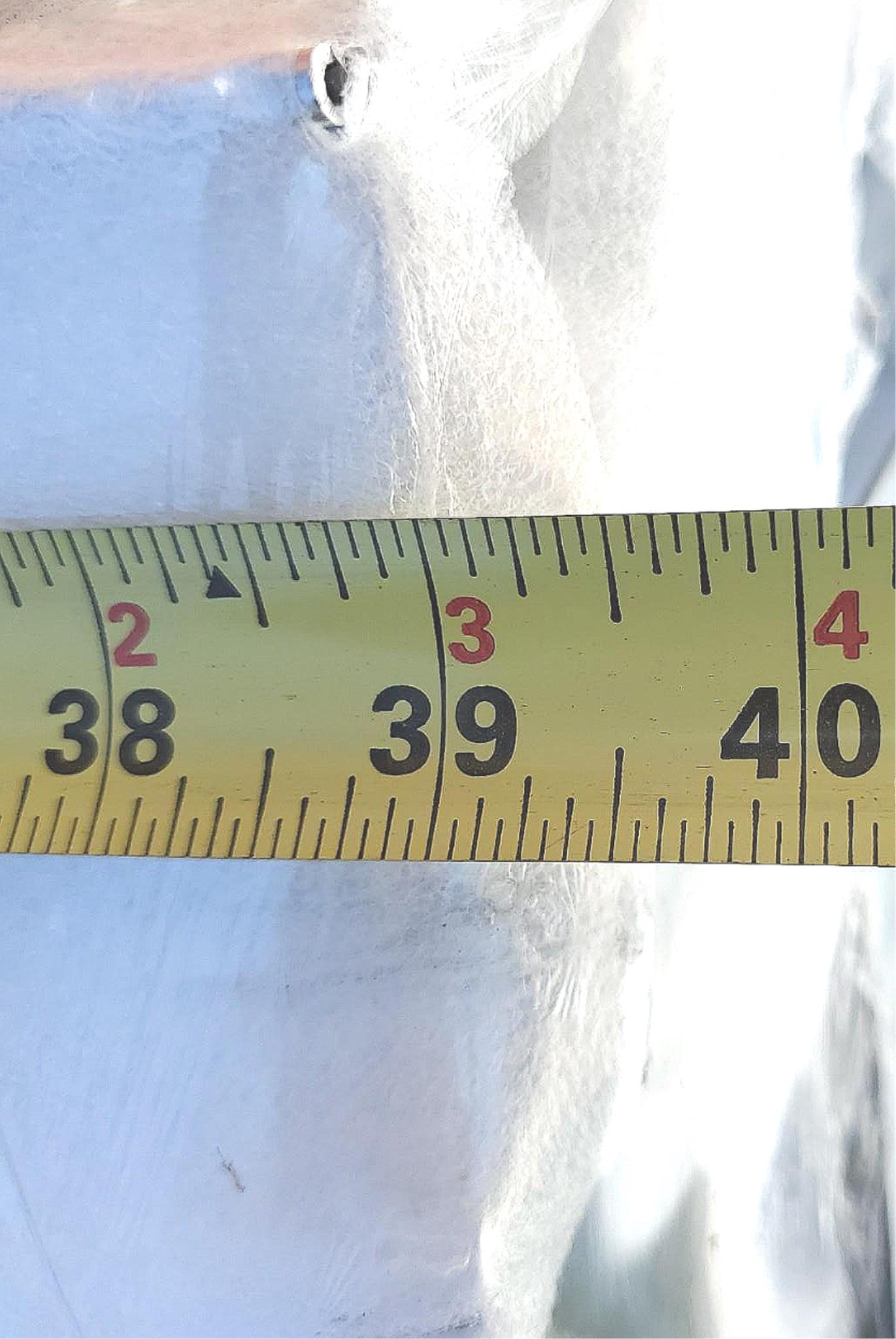 JANUS 3.3' FOOT ALUMINUM ROLLING DOOR 90-DAY-WARRANTY WATCH VIDEO FREE SHIP