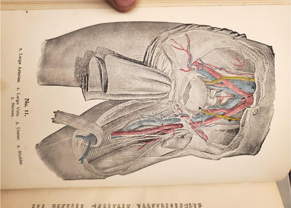 RARE 1907 VINTAGE "THE FAVORITE MEDICAL RECEIPT BOOK & HOME DOCTOR" ILLUSTRATED