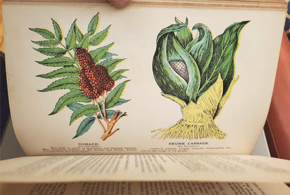 RARE 1907 VINTAGE "THE FAVORITE MEDICAL RECEIPT BOOK & HOME DOCTOR" ILLUSTRATED