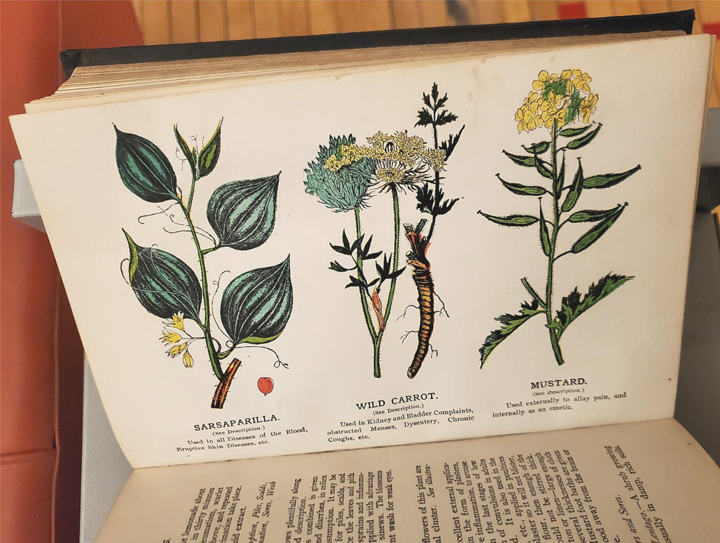 RARE 1907 VINTAGE "THE FAVORITE MEDICAL RECEIPT BOOK & HOME DOCTOR" ILLUSTRATED