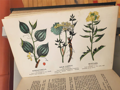 RARE 1907 VINTAGE "THE FAVORITE MEDICAL RECEIPT BOOK & HOME DOCTOR" ILLUSTRATED