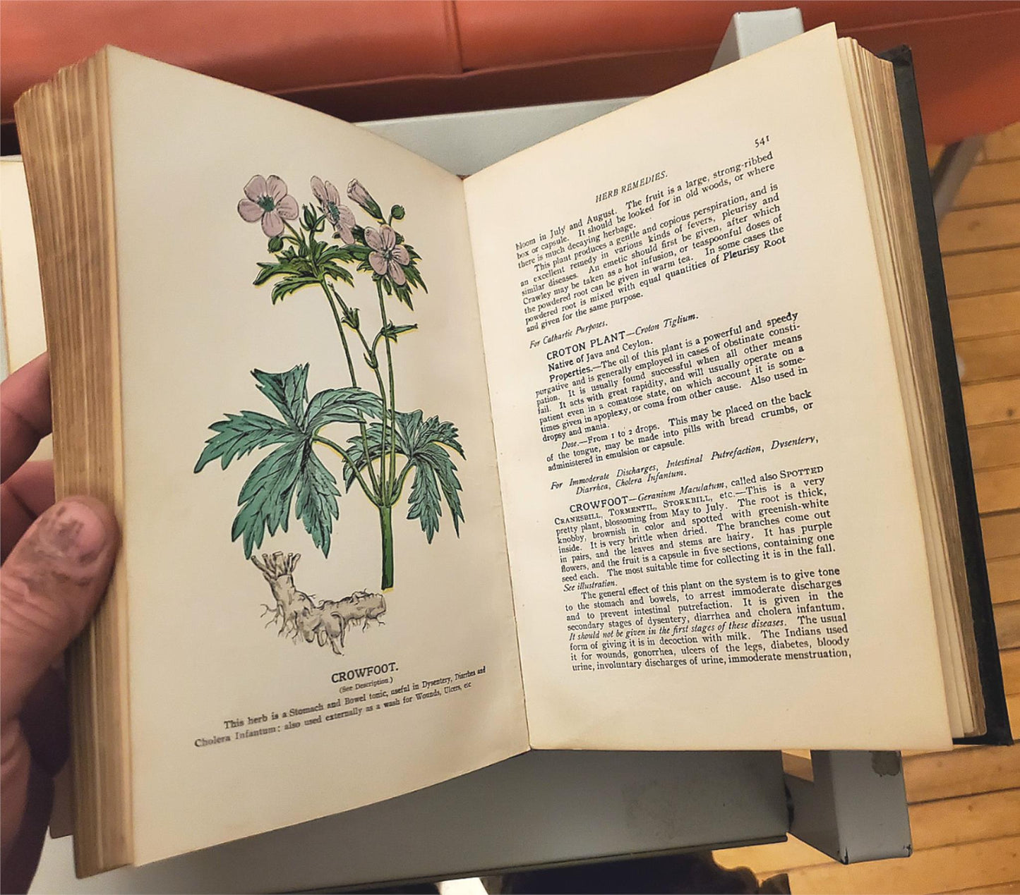 RARE 1907 VINTAGE "THE FAVORITE MEDICAL RECEIPT BOOK & HOME DOCTOR" ILLUSTRATED