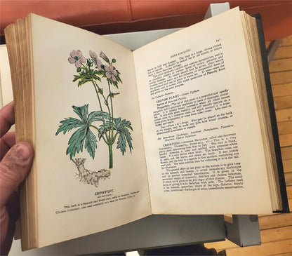 RARE 1907 VINTAGE "THE FAVORITE MEDICAL RECEIPT BOOK & HOME DOCTOR" ILLUSTRATED