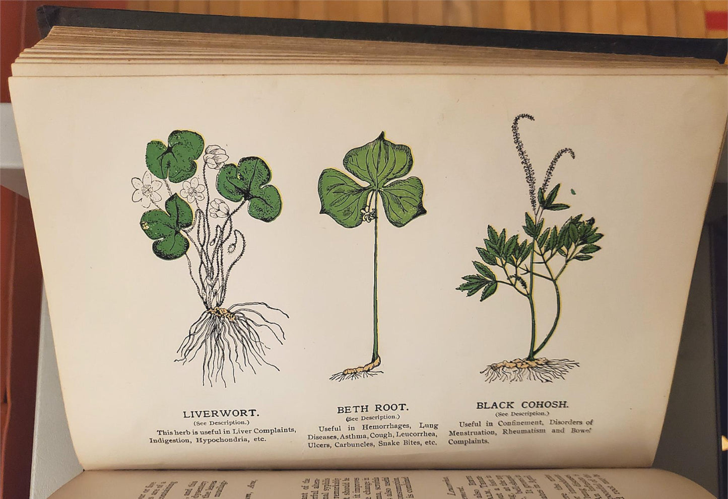 RARE 1907 VINTAGE "THE FAVORITE MEDICAL RECEIPT BOOK & HOME DOCTOR" ILLUSTRATED