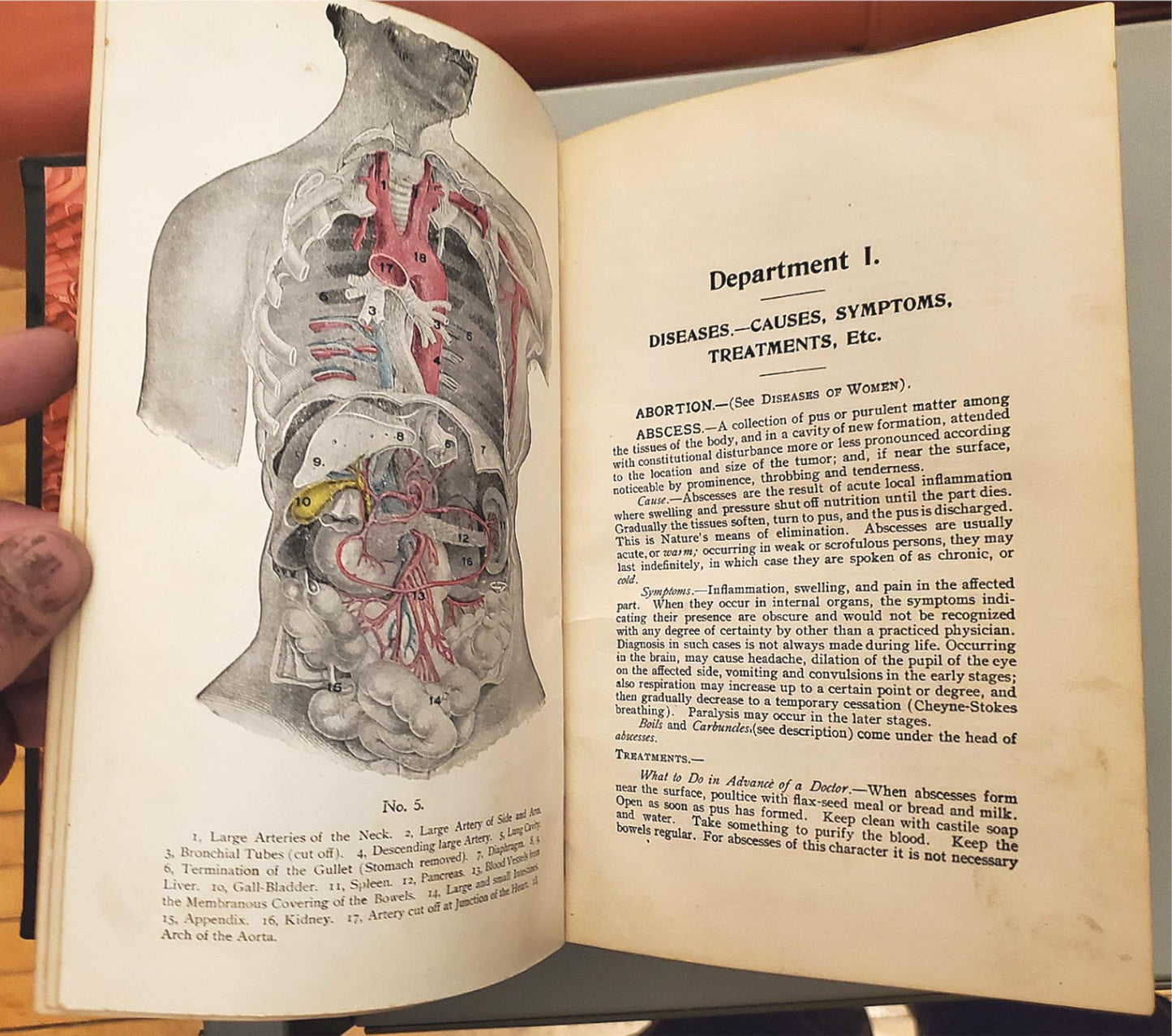 RARE 1907 VINTAGE "THE FAVORITE MEDICAL RECEIPT BOOK & HOME DOCTOR" ILLUSTRATED