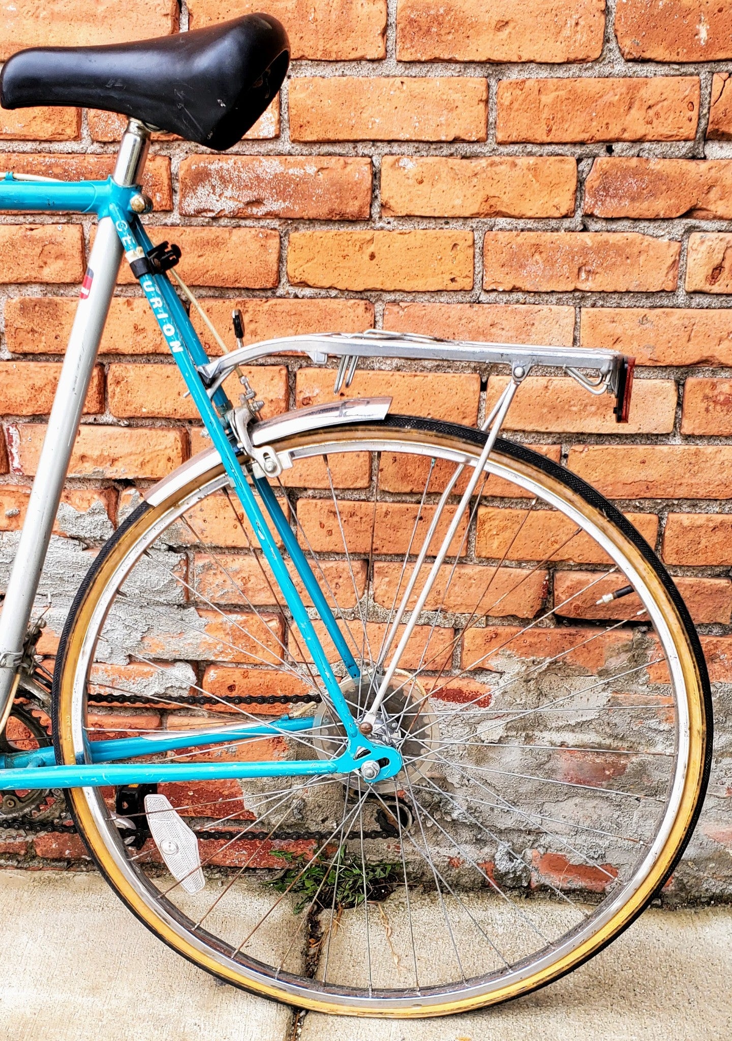 VINTAGE 1980's SIGNET CENTURION BICYCLE - Tires are Flat - FREE SHIPPING