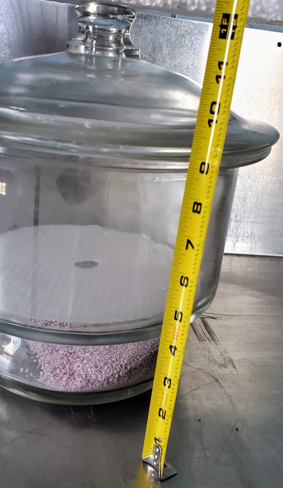 LIKEPYREX 55/38 LAB GLASS & LID 7.5L DESSICATOR BOROSILICA & PLATE FREE SHIPPING