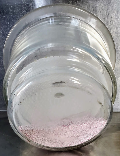 LIKEPYREX 55/38 LAB GLASS & LID 7.5L DESSICATOR BOROSILICA & PLATE FREE SHIPPING