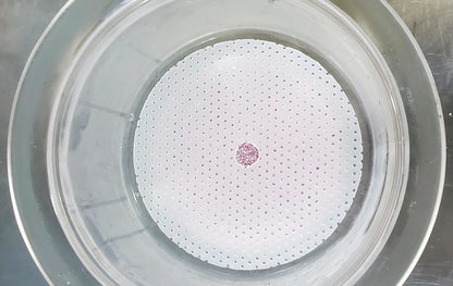 LIKEPYREX 55/38 LAB GLASS & LID 7.5L DESSICATOR BOROSILICA & PLATE FREE SHIPPING