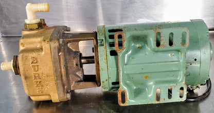 BURKS™ 10CS5M-AB ALL BRONZE IMPELLER 1HP TURBINE WATER PUMP FREESHIP WATCHVIDEO