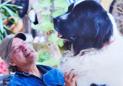 VANTE SEBRA 3120 1090 PHARMACEUTICAL TUBE SEALER  90DAYWARRANTY WATCHVIDEO