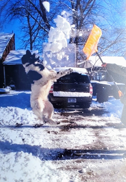 VANTE SEBRA 3120 1090 PHARMACEUTICAL TUBE SEALER  90DAYWARRANTY WATCHVIDEO