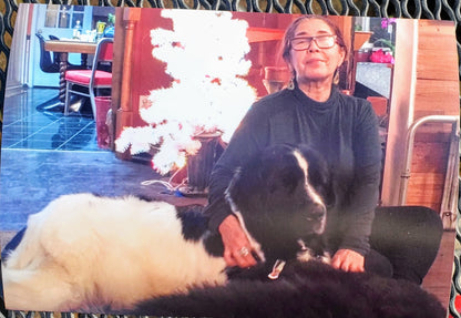 VANTE SEBRA 3120 1090 PHARMACEUTICAL TUBE SEALER  90DAYWARRANTY WATCHVIDEO