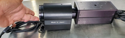 SCION CAM CFW1312M GRAYSCALE DIGITAL FIREWIRE 1.4MPIXEL 1/2"CCD CAMERA FREE SHIP