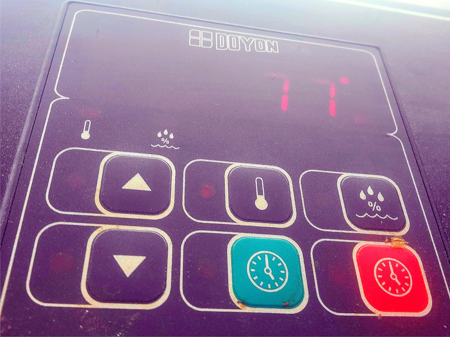 DOYON DRIP1 PROOFING CABINET with RACK 120/240 VOLTS FREE SHIP