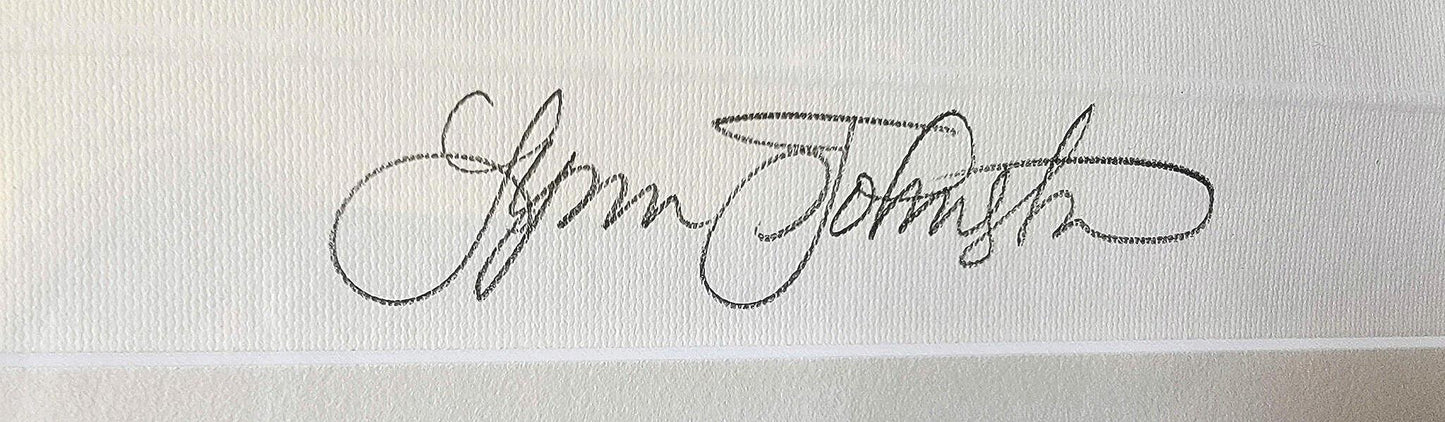 LYNN JOHNSTON "FOR BETTER OR FOR WORSE" ORIG FRAMED SIGNED 29x22" PRINT FREESHIP