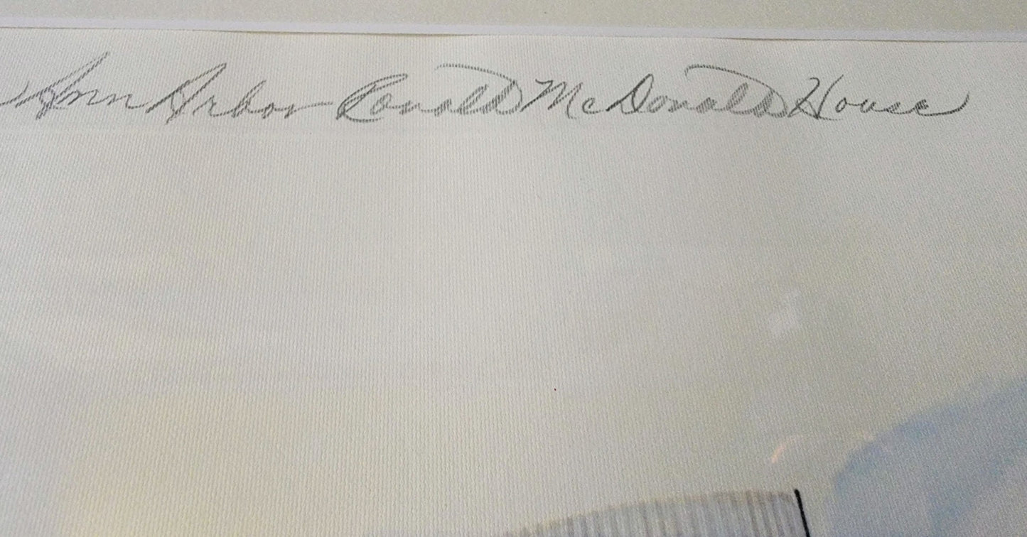 LYNN JOHNSTON "FOR BETTER OR FOR WORSE" ORIG FRAMED SIGNED 29x22" PRINT FREESHIP