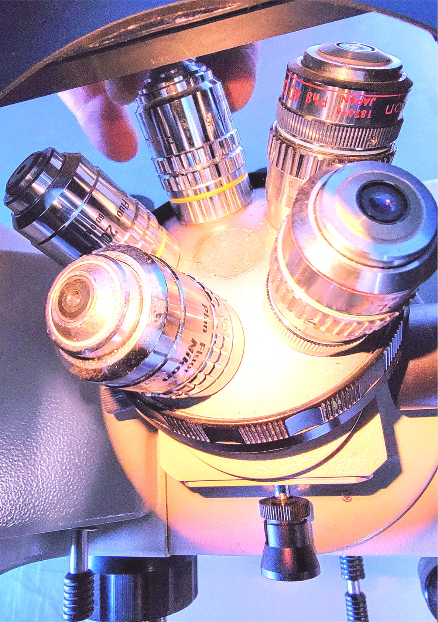 PERFECT NIKON DIAPHOT PHASE CONTRAST INVERTED MICROSCOPE 5OBJECTIVE WATCHVIDEO