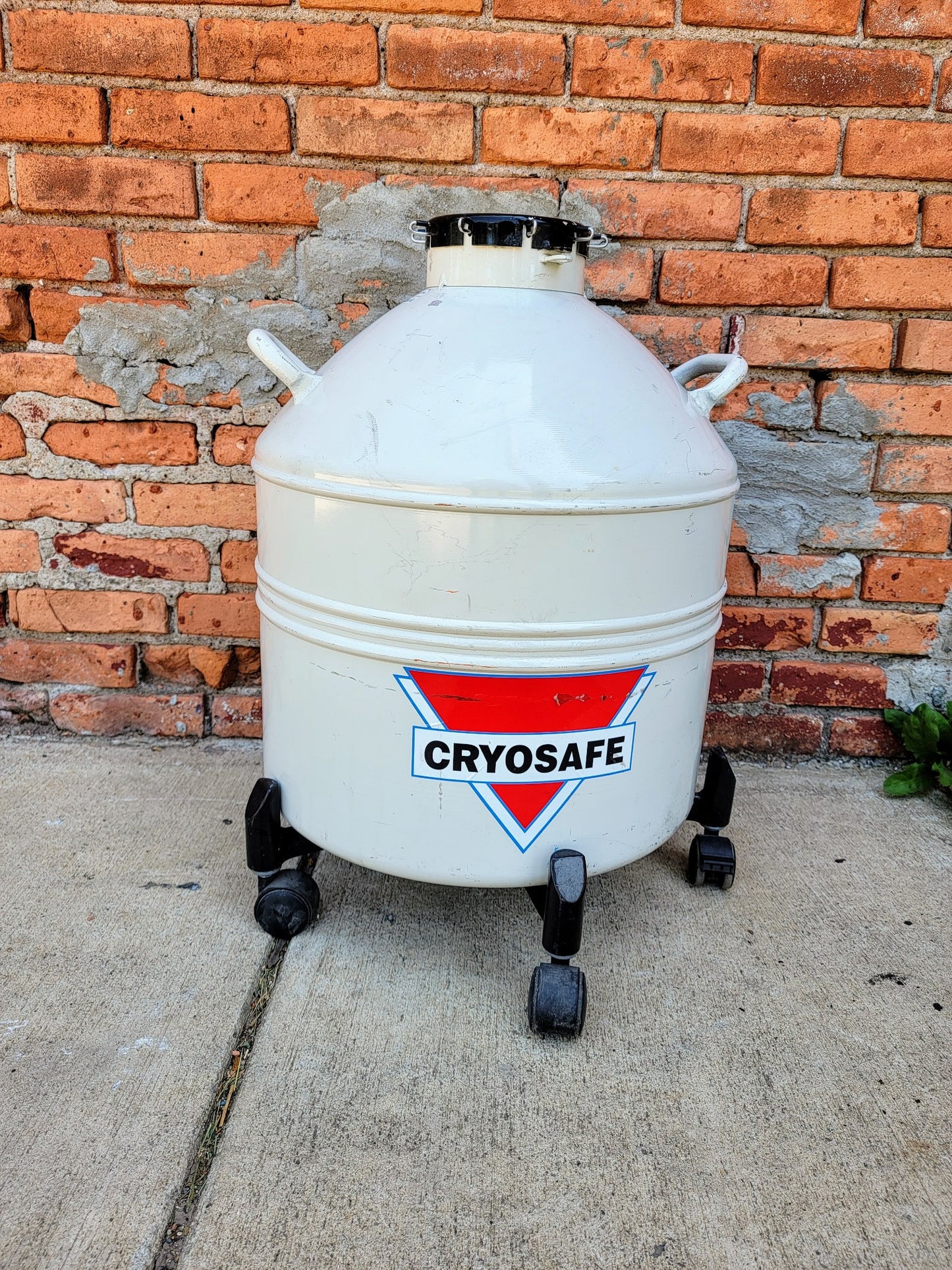 CRYOSAFE SSC32 CRYOGENIC TANK 9 WAND CANE STRAW CANISTER SAMPLE STORAGE FREESHIP