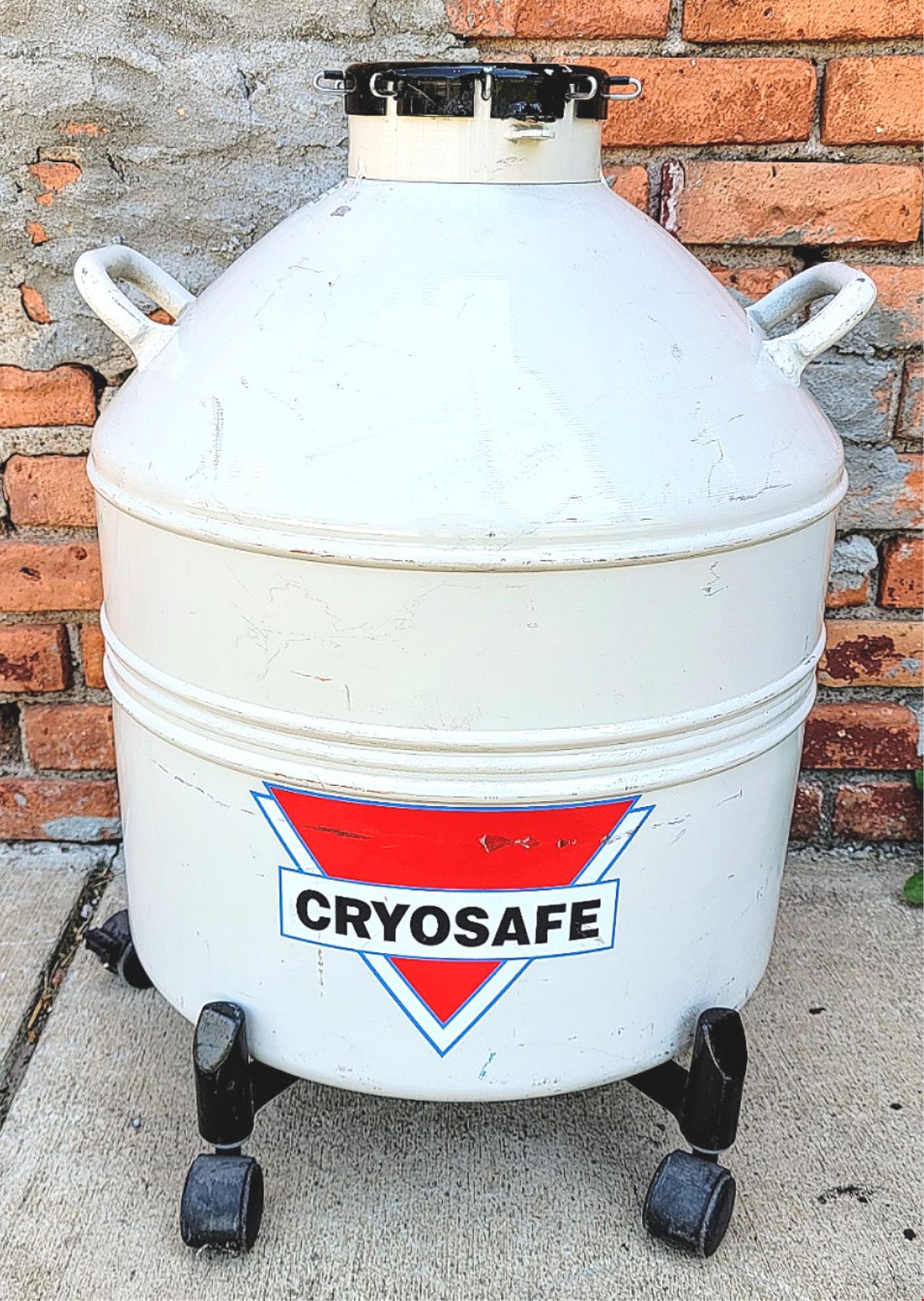 CRYOSAFE SSC32 CRYOGENIC TANK 9 WAND CANE STRAW CANISTER SAMPLE STORAGE FREESHIP