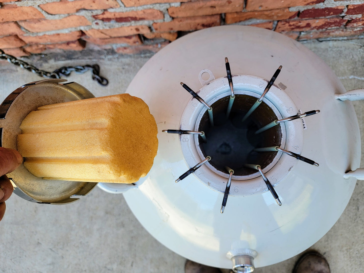 CRYOSAFE SSC32 CRYOGENIC TANK 9 WAND CANE STRAW CANISTER SAMPLE STORAGE FREESHIP