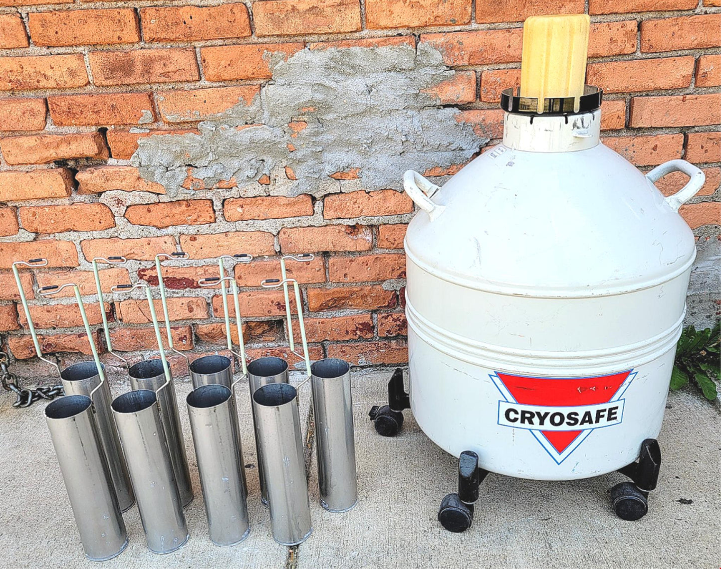 CRYOSAFE SSC32 CRYOGENIC TANK 9 WAND CANE STRAW CANISTER SAMPLE STORAGE FREESHIP