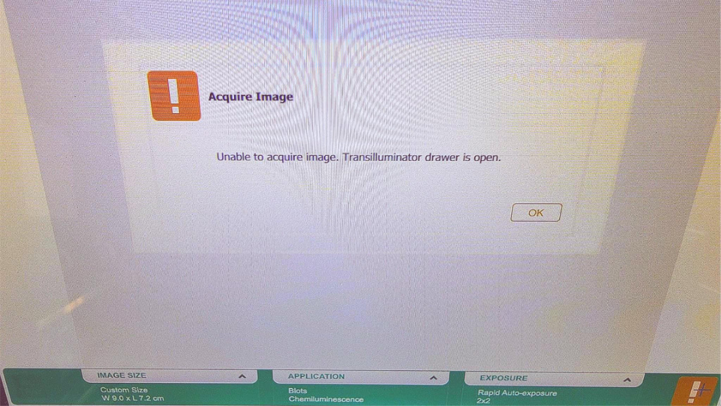 BIORAD CHEMIDOC TOUCH SCREEN GEL IMAGING SYSTEM with TRAY FREE SHIP WATCH VIDEO