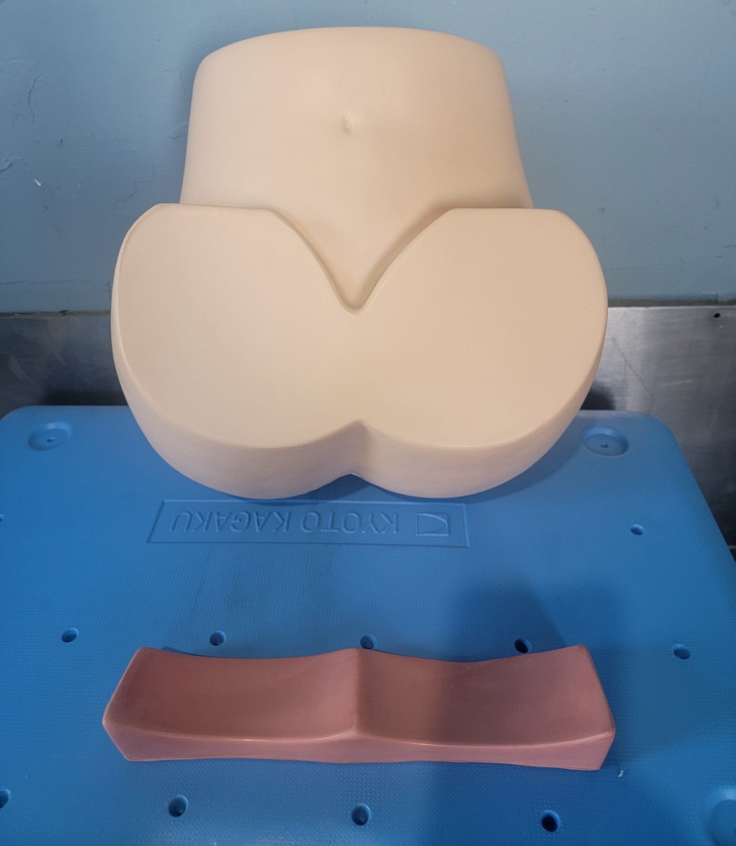 KYOTO KAGAKU M43B LUMBAR PUNCTURE SIMULATOR ORIGINAL CASE 90DAYWARRANTY FREESHIP