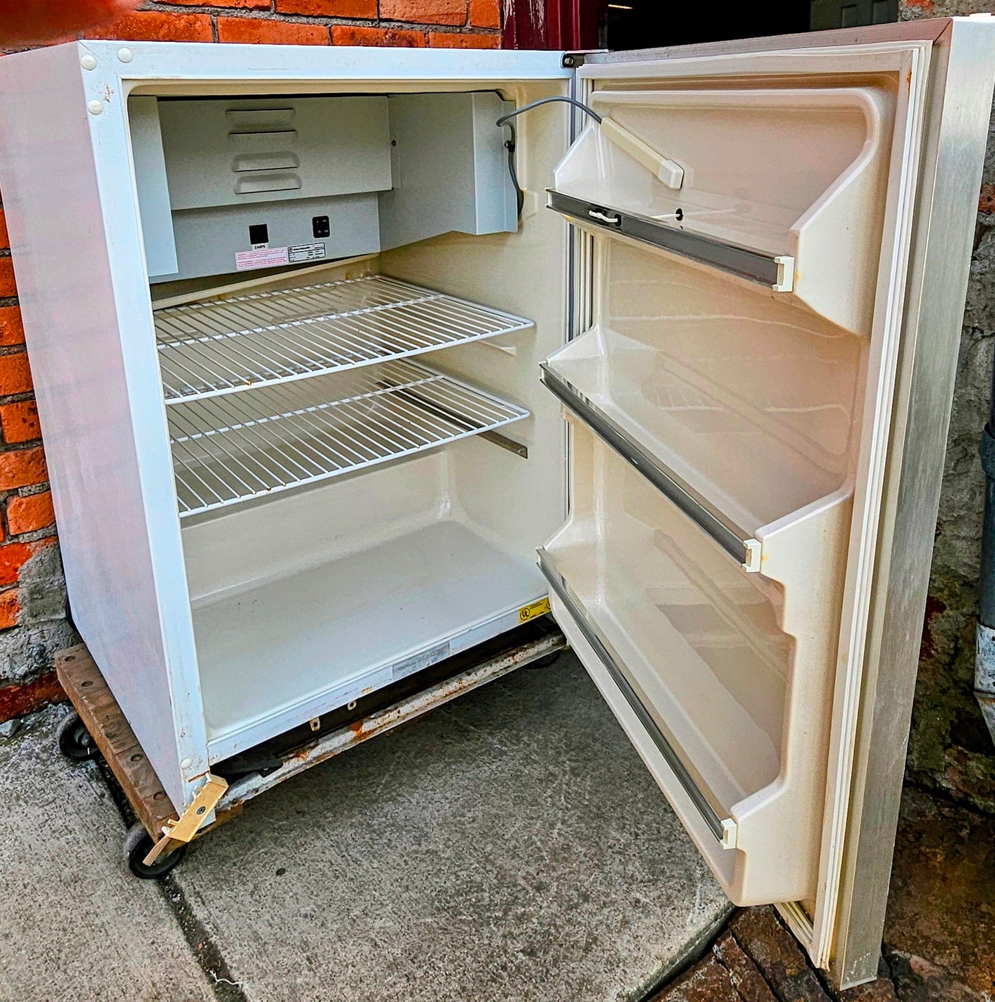 FISHER SCIEN 146E LAB ISOTEMP™ REFRIGERATED INCUBATOR 120-DAY-WARRANTY FREE SHIP