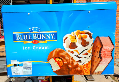 AHT® RIO S 125 CURVED LID FREEZER 9.1CubFeet 90-DAY-WARRANTY WATCHVIDEO FREESHIP