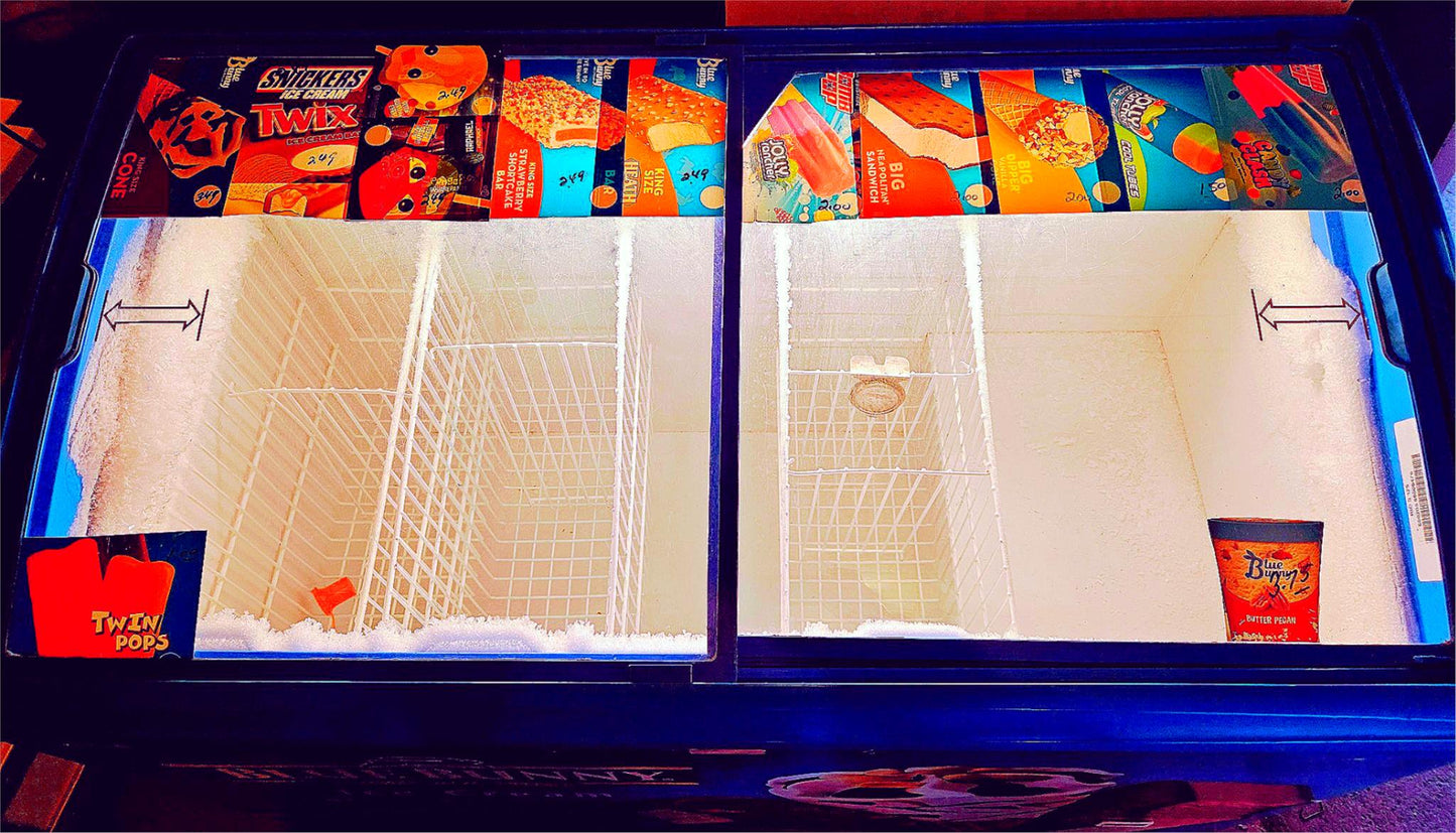 AHT® RIO S 125 CURVED LID FREEZER 9.1CubFeet 90-DAY-WARRANTY WATCHVIDEO FREESHIP