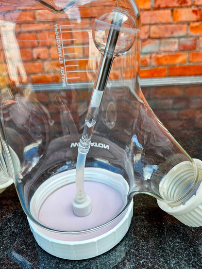 BNEW WHEATON 500ml MAGNA FLEX™ MICROCARRIER SPINNER LAB FLASK 45mm 3 SCREW CAPS