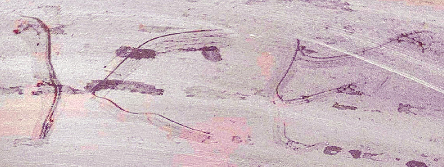 REFURBISHD EPPENDORF 5810R REFRIGERATED CENTRIFUGE A462 ROTOR WATCHVIDEOFREESHIP