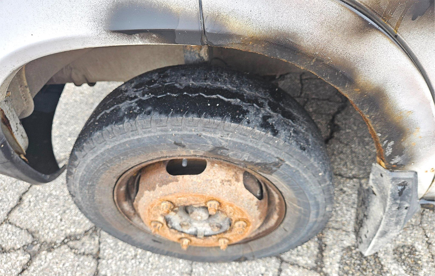 SPRINTER WATCH VIDEO FREE-SHIP