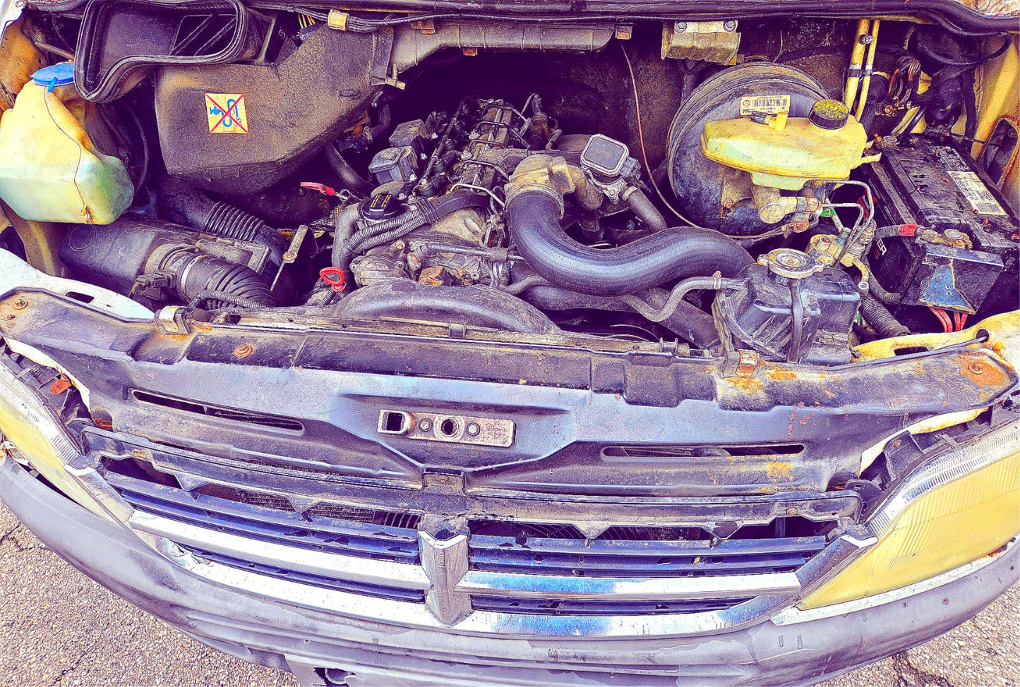 SPRINTER WATCH VIDEO FREE-SHIP