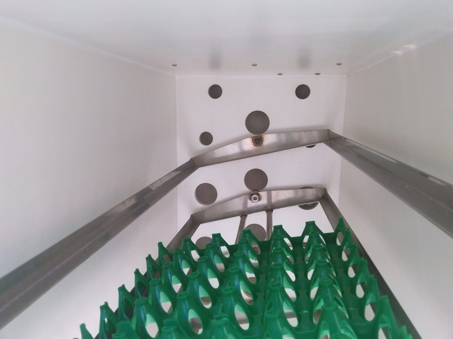 NATURE FORM MODEL SAFARI TURNING EGG HATCHER INCUBATOR Chic Quail Turkey Ostrich