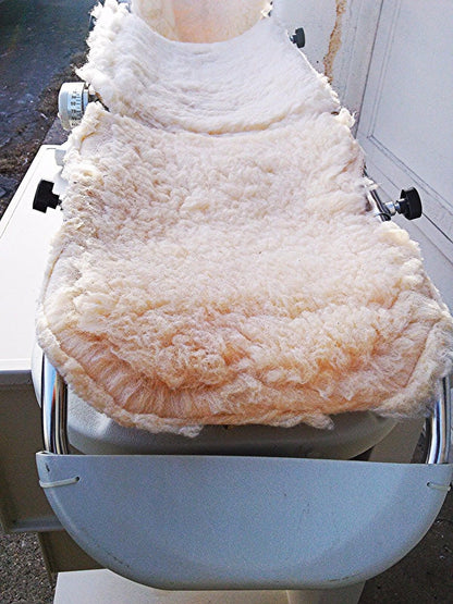 DANNINGER DANNIFLEX 400i PHYSIOTHERAPY KNEE CONTINUOUS PASSIVE MOTION WATCHVIDEO