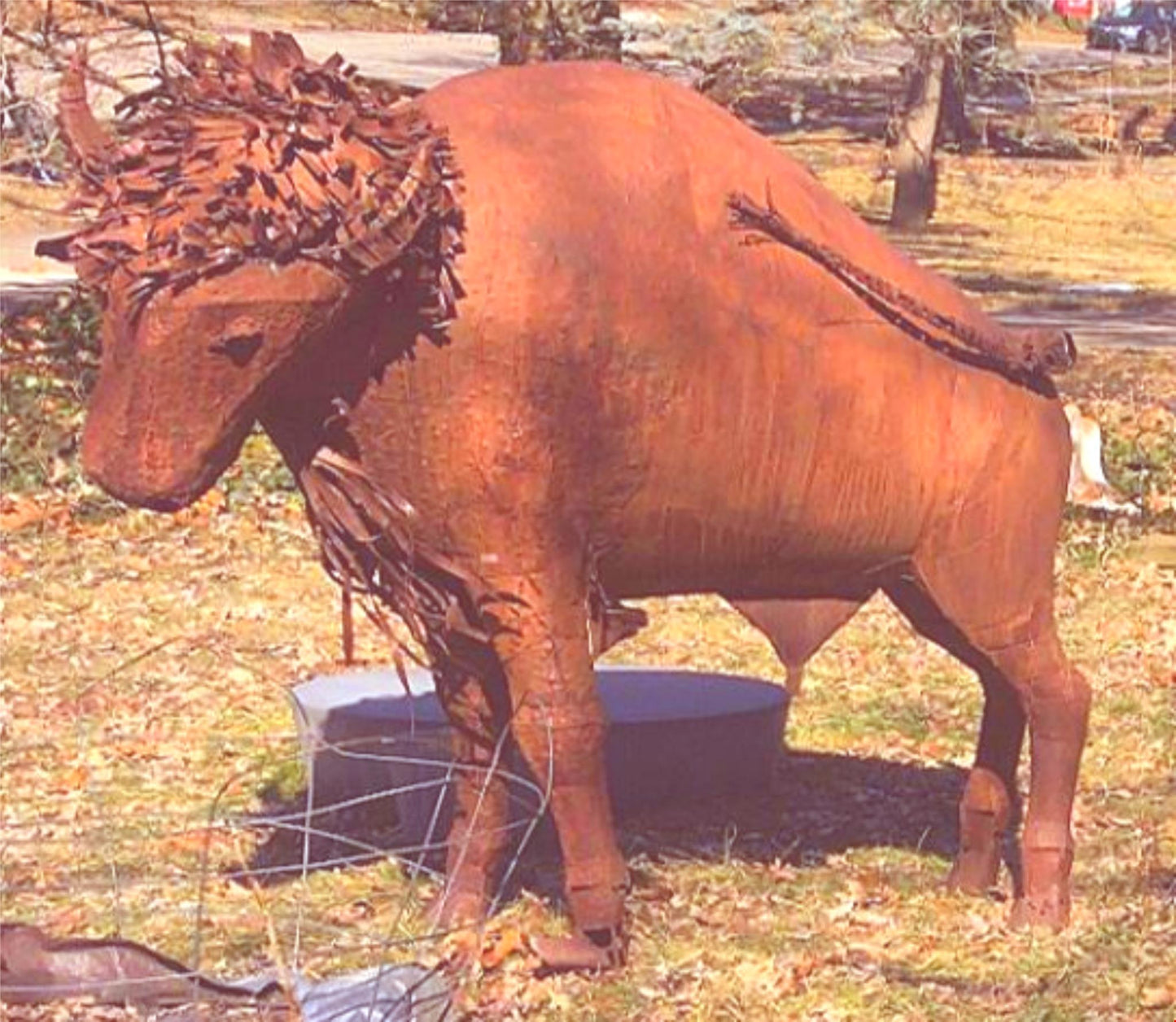 UNIVERSITY COLORADO RALPHIE? HUGE BISON METAL SCULPTURE 61" x 73" x 21" FREESHIP