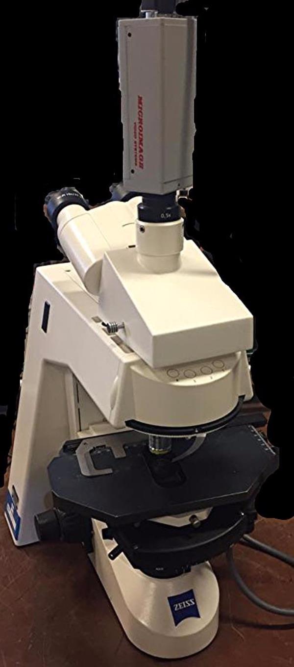 ZEISS AXIOSKOP-2 MICROSCOPE 3 OBJECTIVES & LIGHT SOURCE FREESHIP