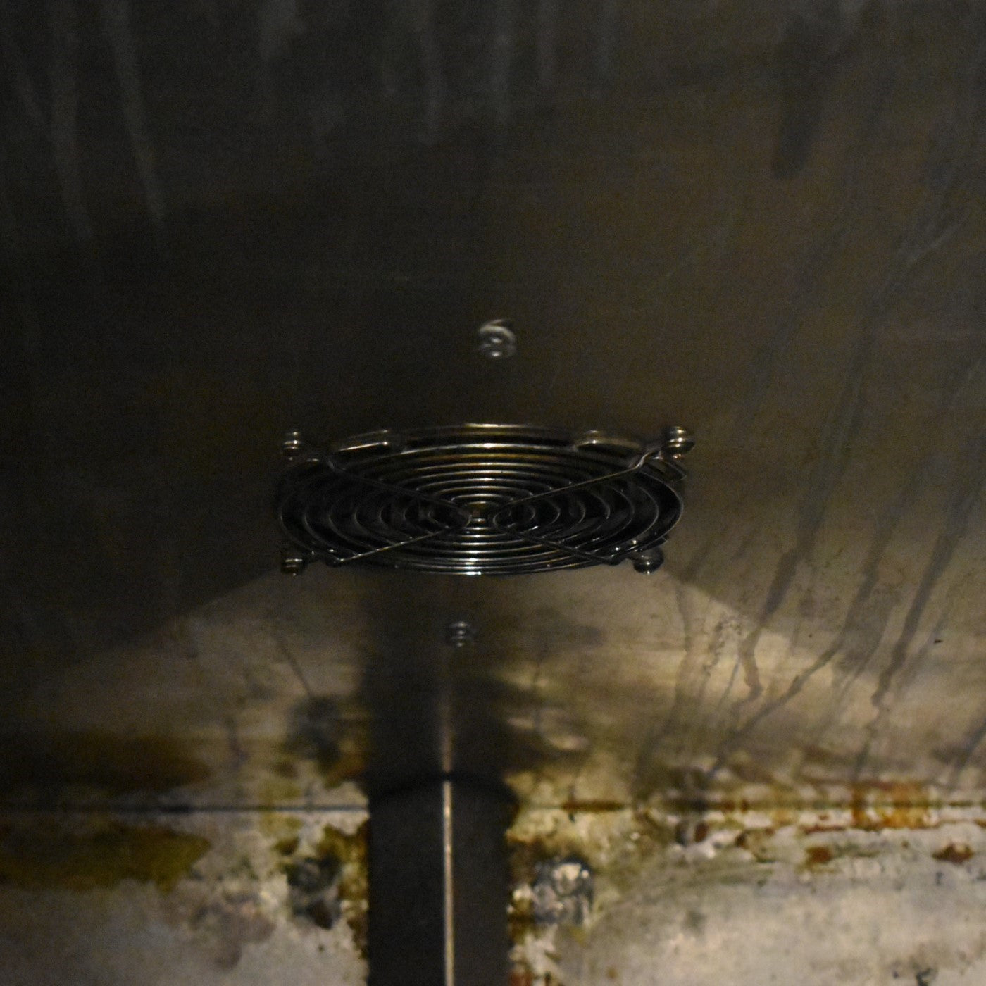 DINEX CARLISLE DXIDPC20120 DISH FREE SHIPPING