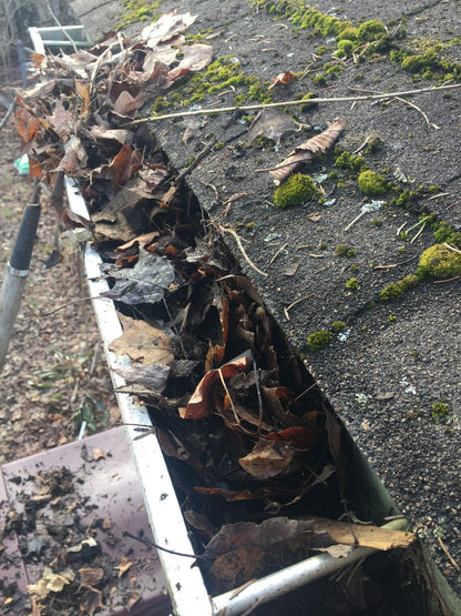 AQUATEC DDP550 HIGH FLOW DELIVERY PUMP with 4FEET FREE SHIPPING